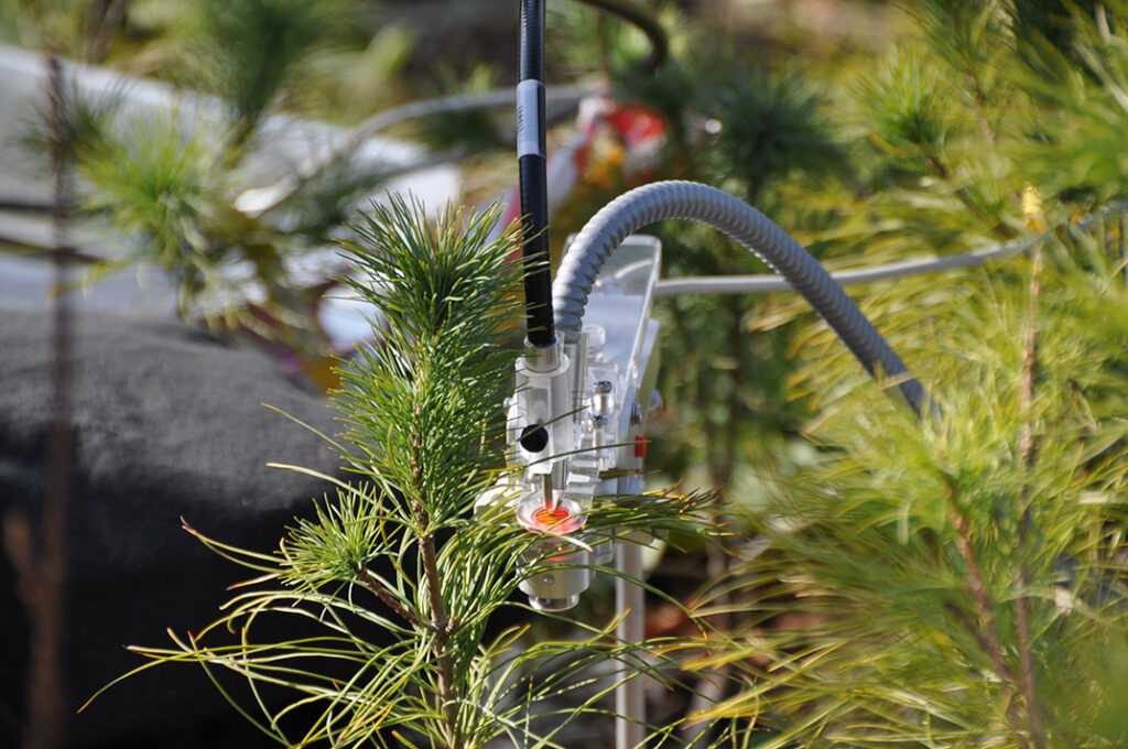 A measuring instrument attached to a tree